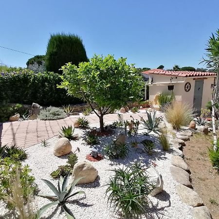 La Picholine Bed & Breakfast Sorède Екстериор снимка
